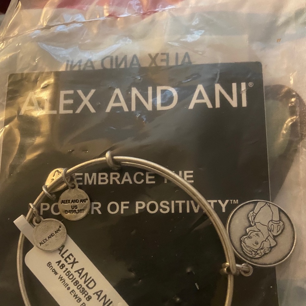 Silver Alex and Ani bracelet